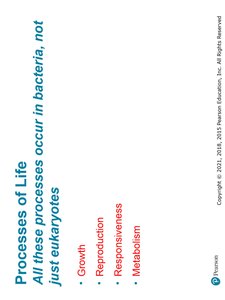 Processes of Life