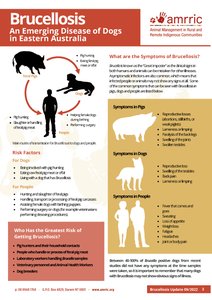 Brucellosis information sheet