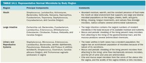 Table of representative normal microbiota by body region (mouth, large intestine, urinary/reproductive)
