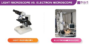 Light microscope vs. electron microscope