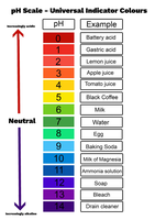 pH scale diagram