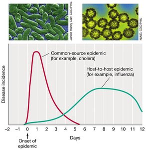 Graph comparing common-source and host-to-host epidemics, with example images of pathogens