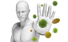Immune system defense against pathogens