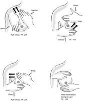 Axillary lymph node anatomical diagram