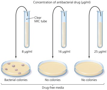 Minimum bactericidal concentration (MBC) test