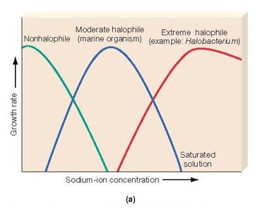 Growth rate curves for nonhalophiles, moderate halophiles, and extreme halophiles