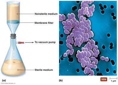 Diagram of membrane filtration setup
