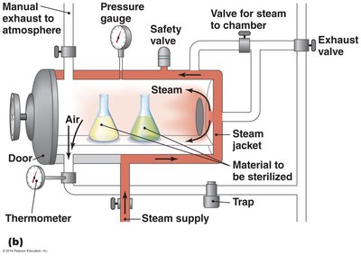 Diagram of an autoclave showing steam flow and pressure controls