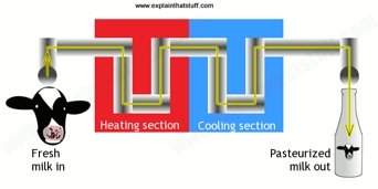 Diagram of the pasteurization process for milk