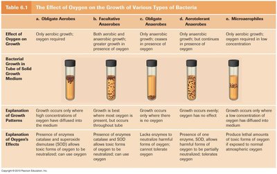 Table summarizing the effect of oxygen on various types of bacteria