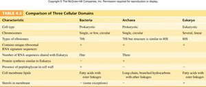 Comparison of Three Cellular Domains