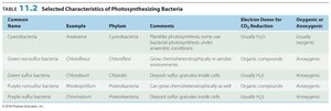 Table of photosynthesizing bacteria
