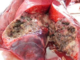 High G+C gram-positive classification