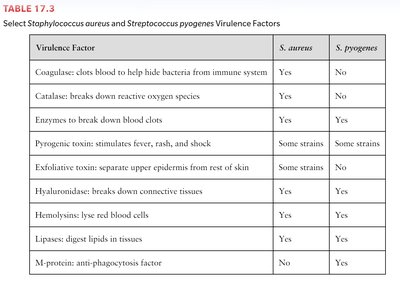 Table 17.3: Select Staphylococcus aureus and Streptococcus pyogenes Virulence Factors