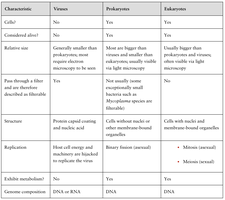 Embryonated egg injection for virus culture
