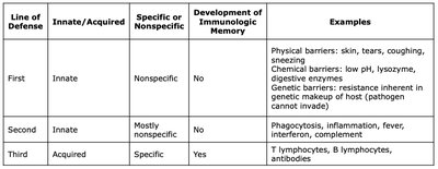 Table summarizing lines of defense
