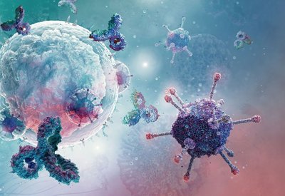 Immune cells attacking pathogens