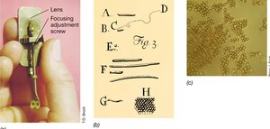 Leeuwenhoek's simple microscope, his drawings of bacteria, and a micrograph of bacteria