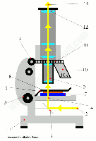 Diagram showing the path of light through a compound microscope