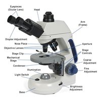 Labeled diagram of a brightfield/compound microscope