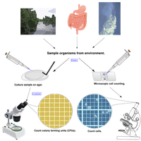 Diagram showing sampling and analysis of microbial communities from different environments