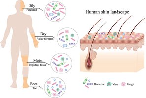 Human skin landscape showing microbial diversity