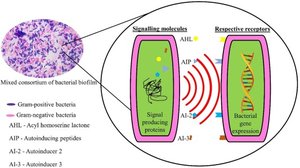 Microbial signaling in biofilms
