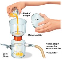 Diagram of membrane filtration setup