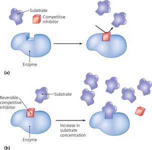 Competitive inhibition of enzyme activity