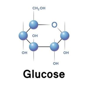 Summary of glucose catabolism