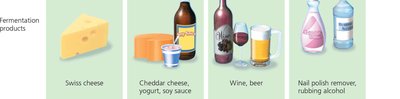 Commercial products from fermentation