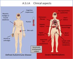 Clinical aspects of ASIA syndrome: defined autoimmune disease and severe manifestations