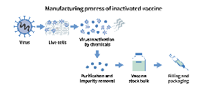 Manufacturing process of inactivated vaccine