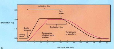 Thermal death rate curves and D-value