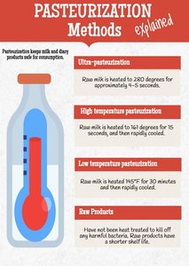 Pasteurization methods infographic