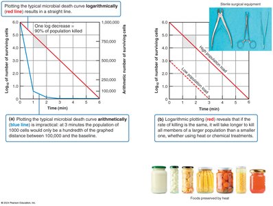 Microbial death curves plotted logarithmically and arithmetically