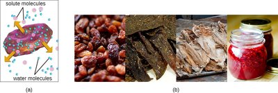Osmotic pressure and food preservation