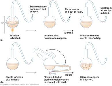 Pasteur’s swan-neck flask experiment
