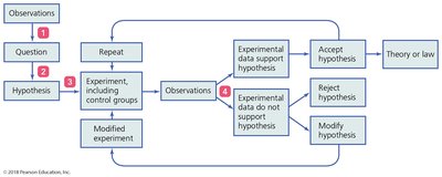 Flowchart of the scientific method