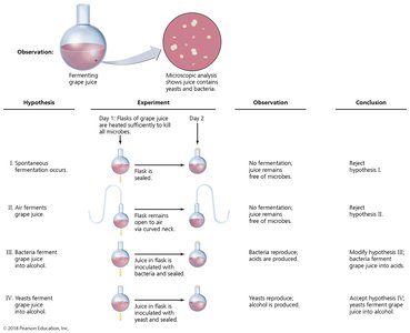 Pasteur’s fermentation experiments