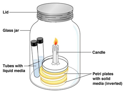 Anaerobic growth chamber