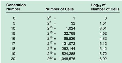 Table showing exponential growth of bacteria