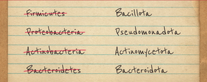 Table of old and new names for major bacterial phyla