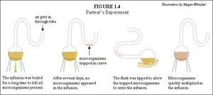Pasteur's S-shaped flask experiment