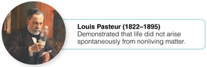 Louis Pasteur portrait and summary