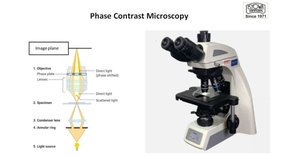 Brightfield vs. darkfield microscopy diagram