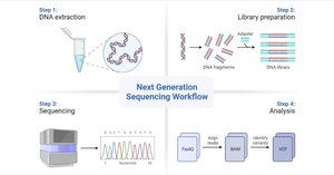 PCR and lateral flow diagnostic workflow