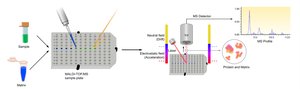 Next-generation sequencing workflow