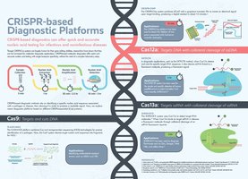 MALDI-TOF MS protein identification workflow
