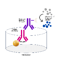 CRISPR-based diagnostic platforms infographic